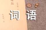 現(xiàn)代漢語(yǔ)新詞語(yǔ)的社會(huì)文化信息探究-基于171條漢語(yǔ)新詞語(yǔ)的社會(huì)學(xué)分析