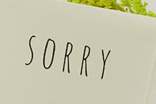 寫給小河的道歉信