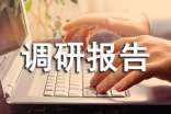 暑假調(diào)研報(bào)告