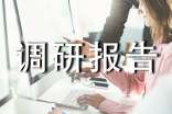 怎樣寫(xiě)好調(diào)研報(bào)告