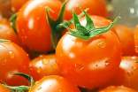 番茄生熟搭配吃營養(yǎng)充分吸收
