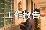 小學(xué)體育工作報告