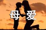 【精選】偉大的母愛(ài)作文300字四篇