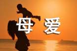 永恒的母愛初二作文