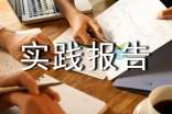 社會(huì)實(shí)踐報(bào)告范文