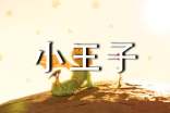 【熱門】小王子讀后感15篇
