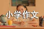 實用的小學(xué)作文1000字10篇