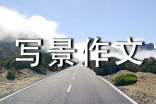 看晚霞寫景作文范文(通用88篇)