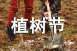 (精)實(shí)用的植樹節(jié)的作文