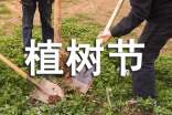 植樹節(jié)作文(精品)