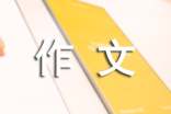 英雄的作文
